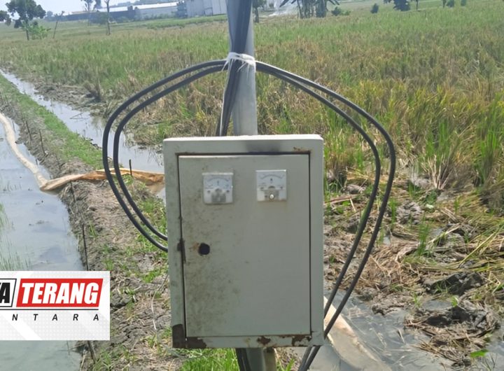 PLN Cepu Mendapatkan Apresiasi Besar Dari Petani
